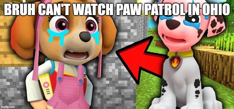 only in ohio | BRUH CAN'T WATCH PAW PATROL IN OHIO | image tagged in paw patrol,ohio | made w/ Imgflip meme maker