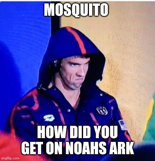 Why | MOSQUITO; HOW DID YOU GET ON NOAHS ARK | image tagged in memes,noahs ark,mosquitos,rodents,what about animals from 2 different climate areas,camel and polar bear | made w/ Imgflip meme maker