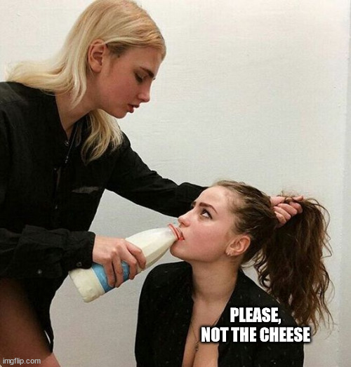 Milk Girls | PLEASE, NOT THE CHEESE | image tagged in milk girls | made w/ Imgflip meme maker