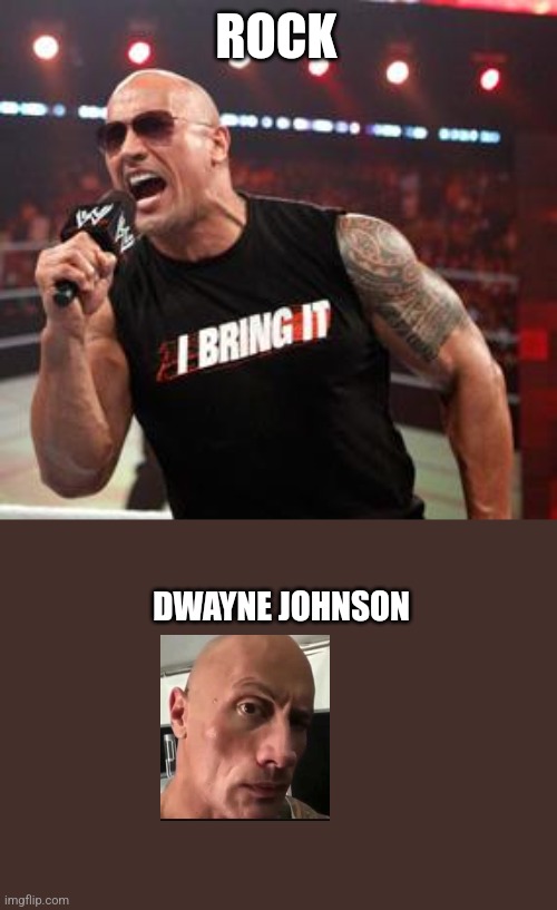 The Rock It Doesn't Matter | ROCK DWAYNE JOHNSON | image tagged in the rock it doesn't matter | made w/ Imgflip meme maker