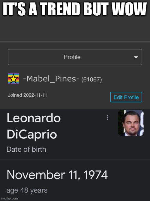 IT’S A TREND BUT WOW | image tagged in leonardo dicaprio | made w/ Imgflip meme maker