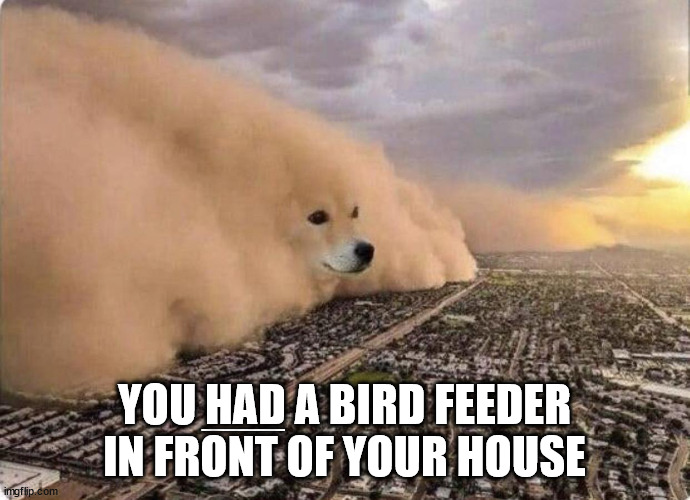 Doge Cloud | ___ YOU HAD A BIRD FEEDER IN FRONT OF YOUR HOUSE | image tagged in doge cloud | made w/ Imgflip meme maker