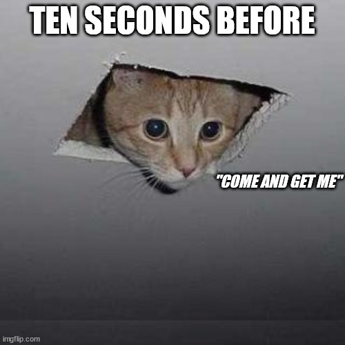 Ceiling Cat Meme | TEN SECONDS BEFORE "COME AND GET ME" | image tagged in memes,ceiling cat | made w/ Imgflip meme maker