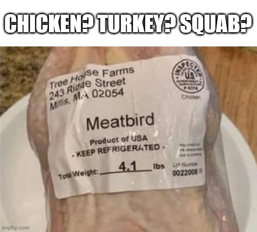 Miscellaneous | CHICKEN? TURKEY? SQUAB? | image tagged in you had one job | made w/ Imgflip meme maker