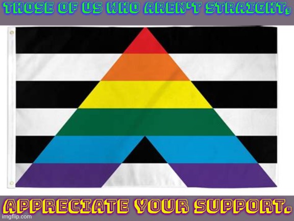 Thank you. | Those of us who aren't straight, appreciate your support. | image tagged in straight lgbtq ally flag,tolerance,kindness,understanding | made w/ Imgflip meme maker