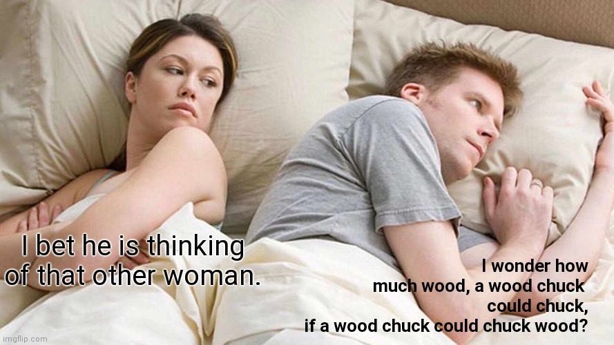 I Wonder | I wonder how much wood, a wood chuck 
could chuck, if a wood chuck could chuck wood? I bet he is thinking of that other woman. | image tagged in memes,i bet he's thinking about other women,i wonder,brain before sleep,couple | made w/ Imgflip meme maker
