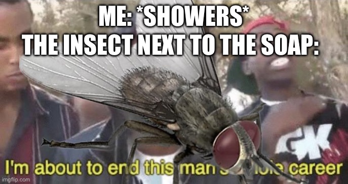 Pro tactic: SPRAY IT WITH WATER | ME: *SHOWERS*; THE INSECT NEXT TO THE SOAP: | image tagged in im about to end this mans whole career,insects,shower | made w/ Imgflip meme maker