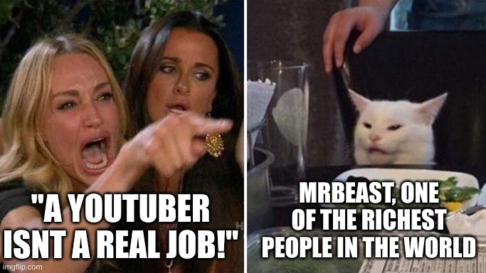 Angry lady cat | "A YOUTUBER ISNT A REAL JOB!"; MRBEAST, ONE OF THE RICHEST PEOPLE IN THE WORLD | image tagged in angry lady cat | made w/ Imgflip meme maker