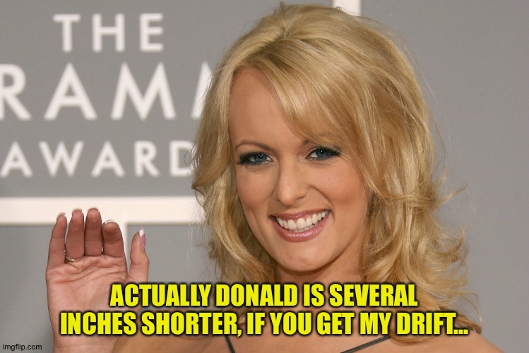 Stormy Daniels | ACTUALLY DONALD IS SEVERAL INCHES SHORTER, IF YOU GET MY DRIFT... | image tagged in stormy daniels | made w/ Imgflip meme maker