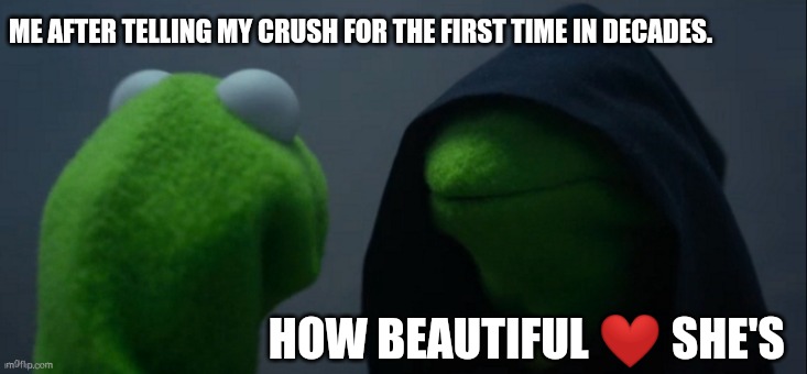 Hood | ME AFTER TELLING MY CRUSH FOR THE FIRST TIME IN DECADES. HOW BEAUTIFUL ❤️ SHE'S | image tagged in memes,evil kermit | made w/ Imgflip meme maker