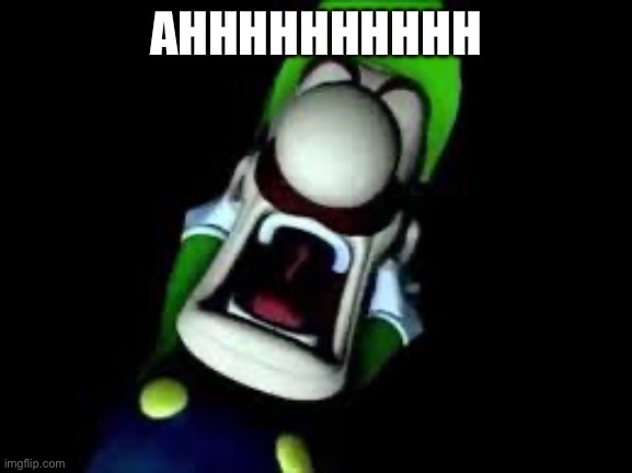 Luigi Screaming | AHHHHHHHHHH | image tagged in luigi screaming | made w/ Imgflip meme maker