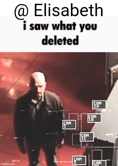 i saw what you deleted | @ Elisabeth | image tagged in i saw what you deleted | made w/ Imgflip meme maker