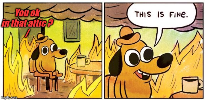 This Is Fine Meme | You ok in that attic ?
/ | image tagged in memes,this is fine | made w/ Imgflip meme maker