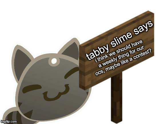Tabby Slime Says | i think we should have a weekly thing for our ocs, maybe like a contest? | image tagged in tabby slime says | made w/ Imgflip meme maker