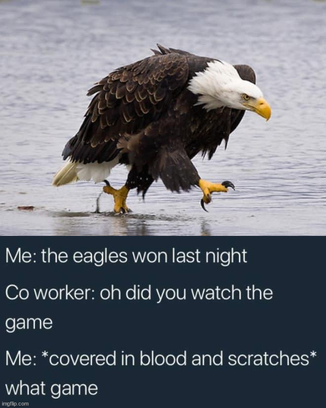 Angry Eagle | image tagged in angry eagle | made w/ Imgflip meme maker