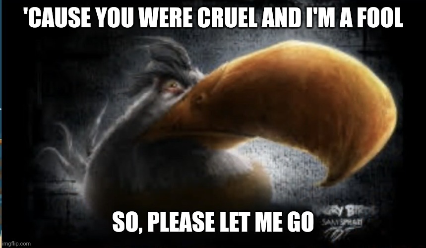 Guess the song | 'CAUSE YOU WERE CRUEL AND I'M A FOOL; SO, PLEASE LET ME GO | image tagged in realistic mighty eagle | made w/ Imgflip meme maker