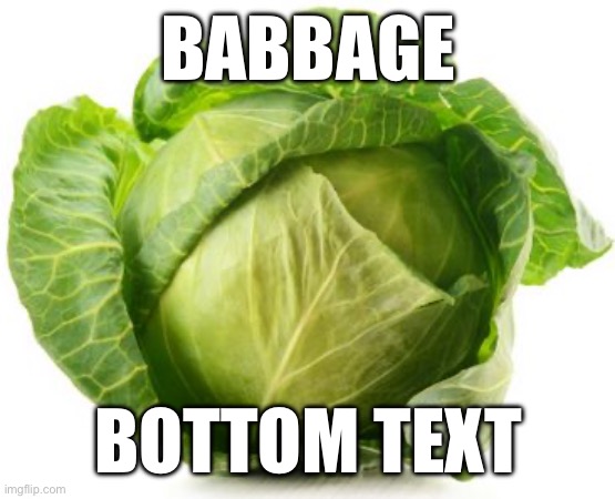 Vegetable | BABBAGE; BOTTOM TEXT | image tagged in cabbage | made w/ Imgflip meme maker