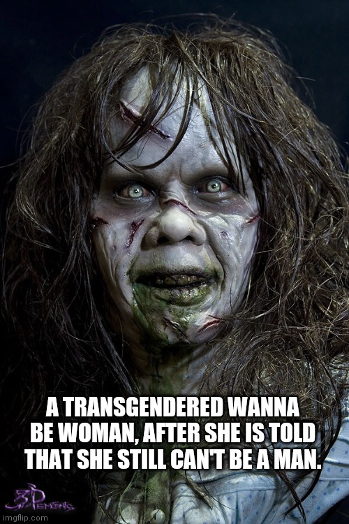 Transgenederd Wanna Be | A TRANSGENDERED WANNA BE WOMAN, AFTER SHE IS TOLD THAT SHE STILL CAN'T BE A MAN. | image tagged in linda blair,transgender,funny memes,lgbtq | made w/ Imgflip meme maker