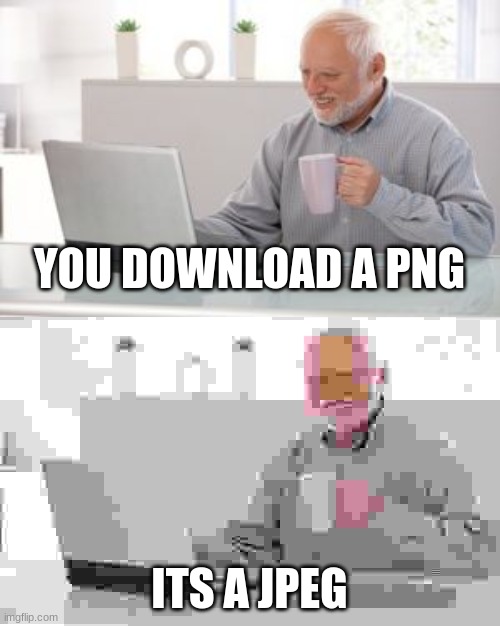 man i hate when people hide jpegs as pngs | YOU DOWNLOAD A PNG; ITS A JPEG | image tagged in old man | made w/ Imgflip meme maker