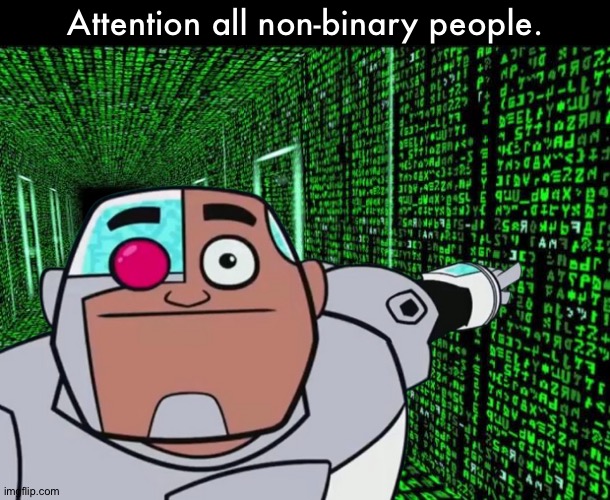 Haha get triggered | Attention all non-binary people. | image tagged in matrix hallway code | made w/ Imgflip meme maker