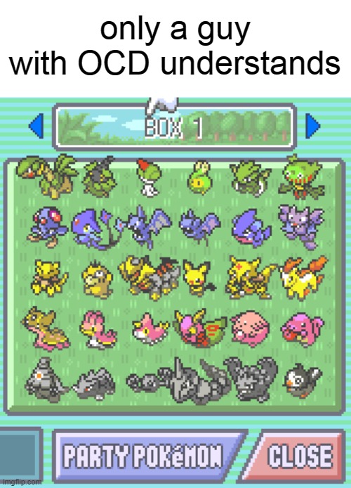 only a guy with OCD understands | image tagged in pokemon | made w/ Imgflip meme maker