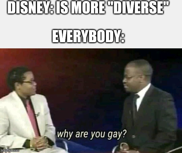 DISNEY: IS MORE "DIVERSE" EVERYBODY: | image tagged in why are you gay | made w/ Imgflip meme maker