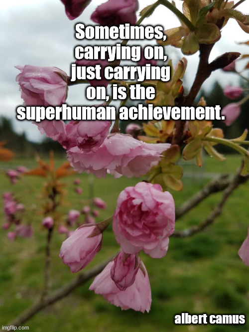 carry on | Sometimes, carrying on, just carrying on, is the superhuman achievement. albert camus | image tagged in inspirational quote | made w/ Imgflip meme maker