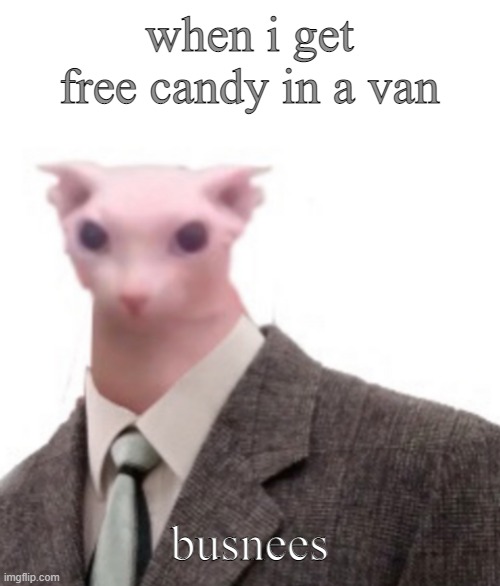 busnees | when i get free candy in a van; busnees | image tagged in bingus | made w/ Imgflip meme maker