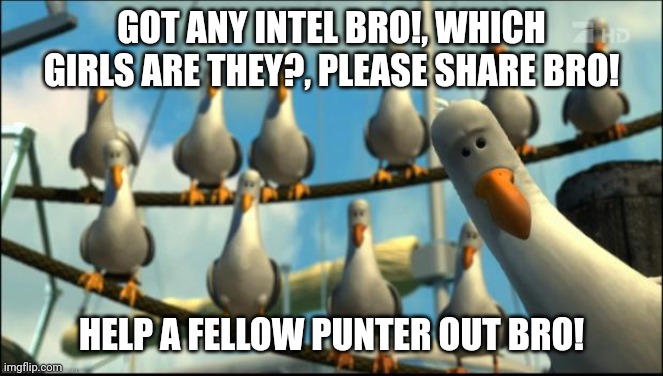 Nemo Seagulls Mine | GOT ANY INTEL BRO!, WHICH GIRLS ARE THEY?, PLEASE SHARE BRO! HELP A FELLOW PUNTER OUT BRO! | image tagged in nemo seagulls mine | made w/ Imgflip meme maker