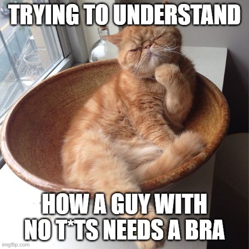 Wondering cat | TRYING TO UNDERSTAND HOW A GUY WITH NO T*TS NEEDS A BRA | image tagged in wondering cat | made w/ Imgflip meme maker