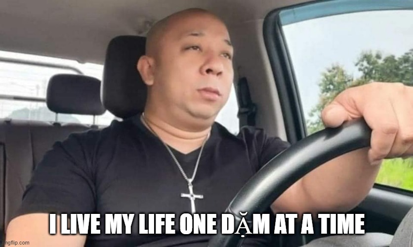 Vietnamese Diesel | I LIVE MY LIFE ONE DẶM AT A TIME | image tagged in funny memes | made w/ Imgflip meme maker