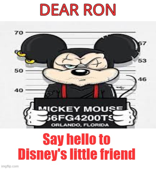 DEAR RON Say hello to Disney's little friend | made w/ Imgflip meme maker