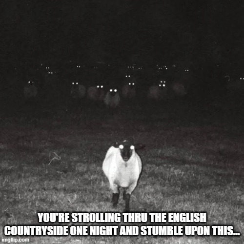 Sheep | YOU'RE STROLLING THRU THE ENGLISH COUNTRYSIDE ONE NIGHT AND STUMBLE UPON THIS... | image tagged in unsee juice | made w/ Imgflip meme maker