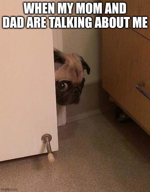 Guilty Pug | WHEN MY MOM AND DAD ARE TALKING ABOUT ME | image tagged in guilty pug,door,communist socialist | made w/ Imgflip meme maker