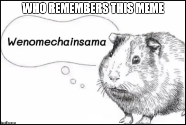 Wenomechainsama | WHO REMEMBERS THIS MEME | image tagged in wenomechainsama | made w/ Imgflip meme maker