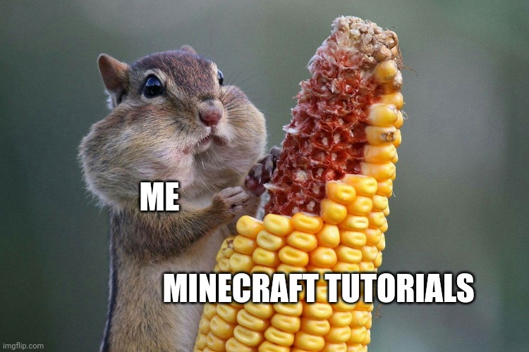 I like learning how to build things in Minecraft | ME; MINECRAFT TUTORIALS | image tagged in chipmunk feast | made w/ Imgflip meme maker