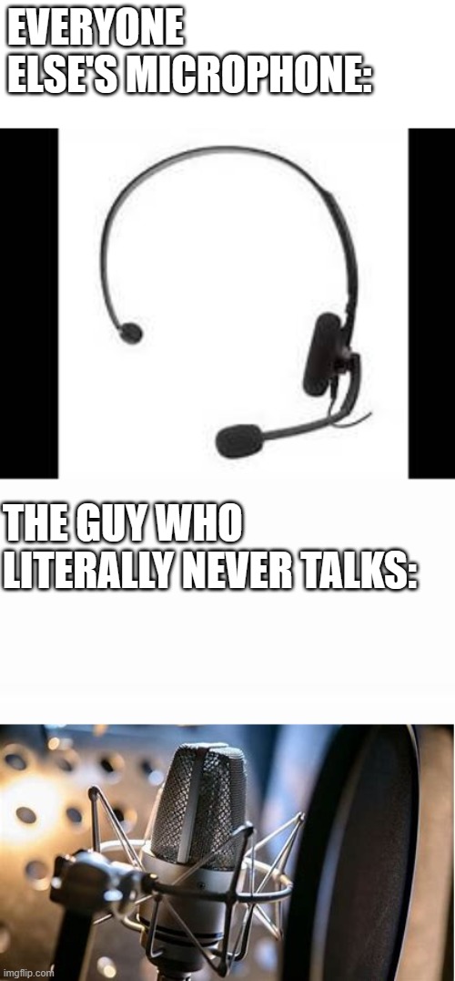 True | EVERYONE ELSE'S MICROPHONE:; THE GUY WHO LITERALLY NEVER TALKS: | image tagged in funny | made w/ Imgflip meme maker