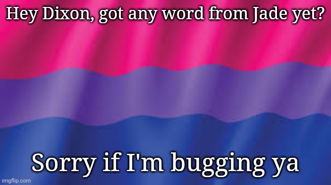 (SF note: I dunno if he's online) | Hey Dixon, got any word from Jade yet? Sorry if I'm bugging ya | image tagged in bi flag background | made w/ Imgflip meme maker