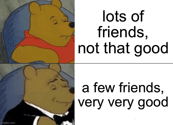 is this relatable? | lots of friends, not that good; a few friends, very very good | image tagged in memes,tuxedo winnie the pooh | made w/ Imgflip meme maker