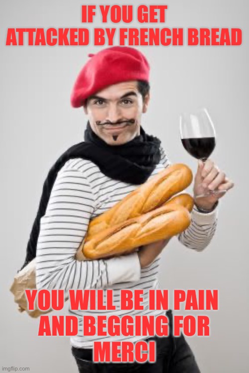 French bread | IF YOU GET ATTACKED BY FRENCH BREAD; YOU WILL BE IN PAIN 
AND BEGGING FOR
MERCI | image tagged in honhonhon baguettes,memes,french bread | made w/ Imgflip meme maker