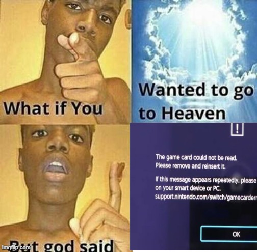 Idk whether it's funny or not, i never post in this stream | image tagged in nintendo switch,what if you wanted to go to heaven,gaming,memes | made w/ Imgflip meme maker