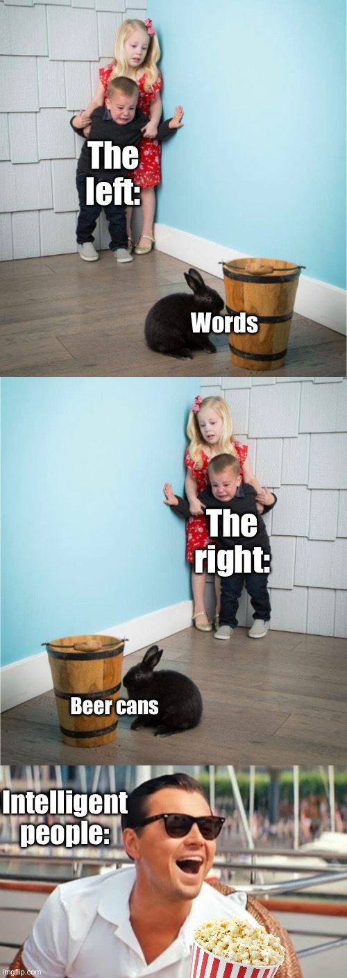 Watching extremes out stupid each other is entertaining | The left:; Words; The right:; Beer cans; Intelligent people: | image tagged in memes,leonardo dicaprio wolf of wall street,politics lol | made w/ Imgflip meme maker