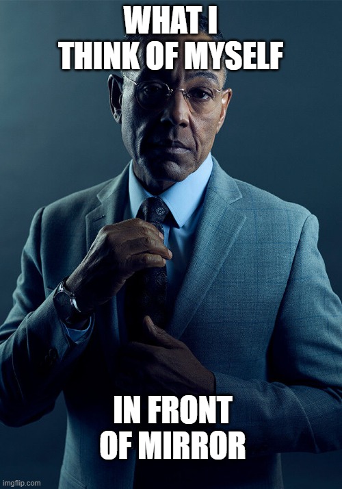 but in reality ???? | WHAT I THINK OF MYSELF; IN FRONT OF MIRROR | image tagged in gus fring we are not the same,me and the boys,funny memes | made w/ Imgflip meme maker