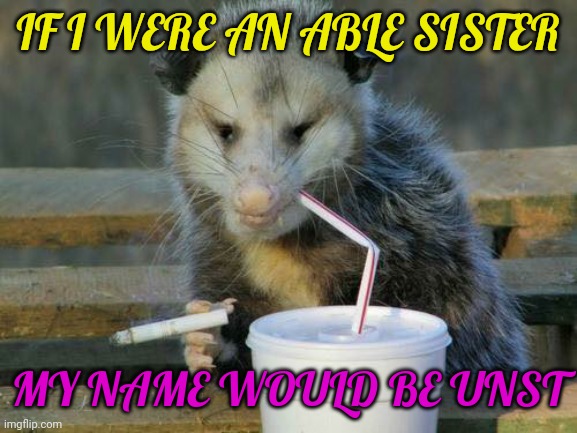 Smoking opossum | IF I WERE AN ABLE SISTER; MY NAME WOULD BE UNST | image tagged in animal crossing | made w/ Imgflip meme maker