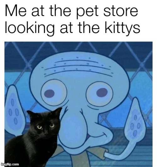 image tagged in memes | made w/ Imgflip meme maker
