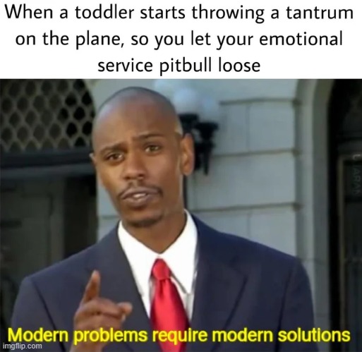 image tagged in memes | made w/ Imgflip meme maker