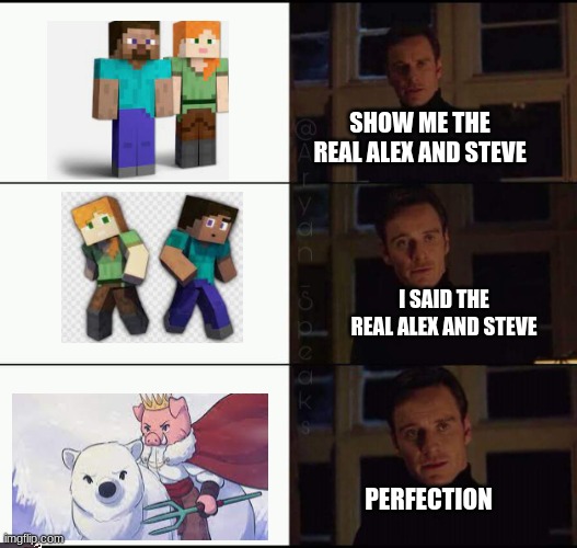 rest in peace ? | SHOW ME THE REAL ALEX AND STEVE; I SAID THE REAL ALEX AND STEVE; PERFECTION | image tagged in show me the real | made w/ Imgflip meme maker
