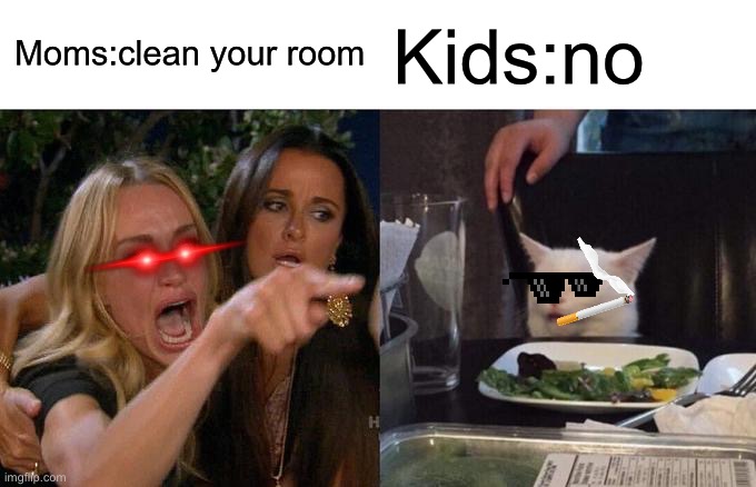 Woman Yelling At Cat | Moms:clean your room; Kids:no | image tagged in memes,woman yelling at cat | made w/ Imgflip meme maker