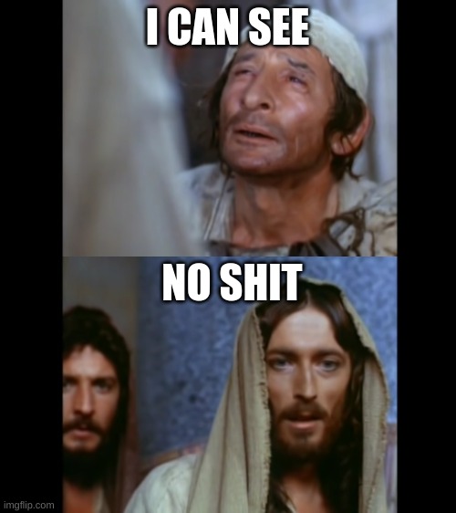 i saw an oppertunity, this was better in my head tho | I CAN SEE; NO SHIT | image tagged in memes | made w/ Imgflip meme maker