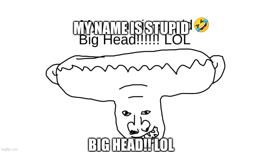 Big Head!!!! | MY NAME IS STUPID; BIG HEAD!! LOL | image tagged in funny | made w/ Imgflip meme maker